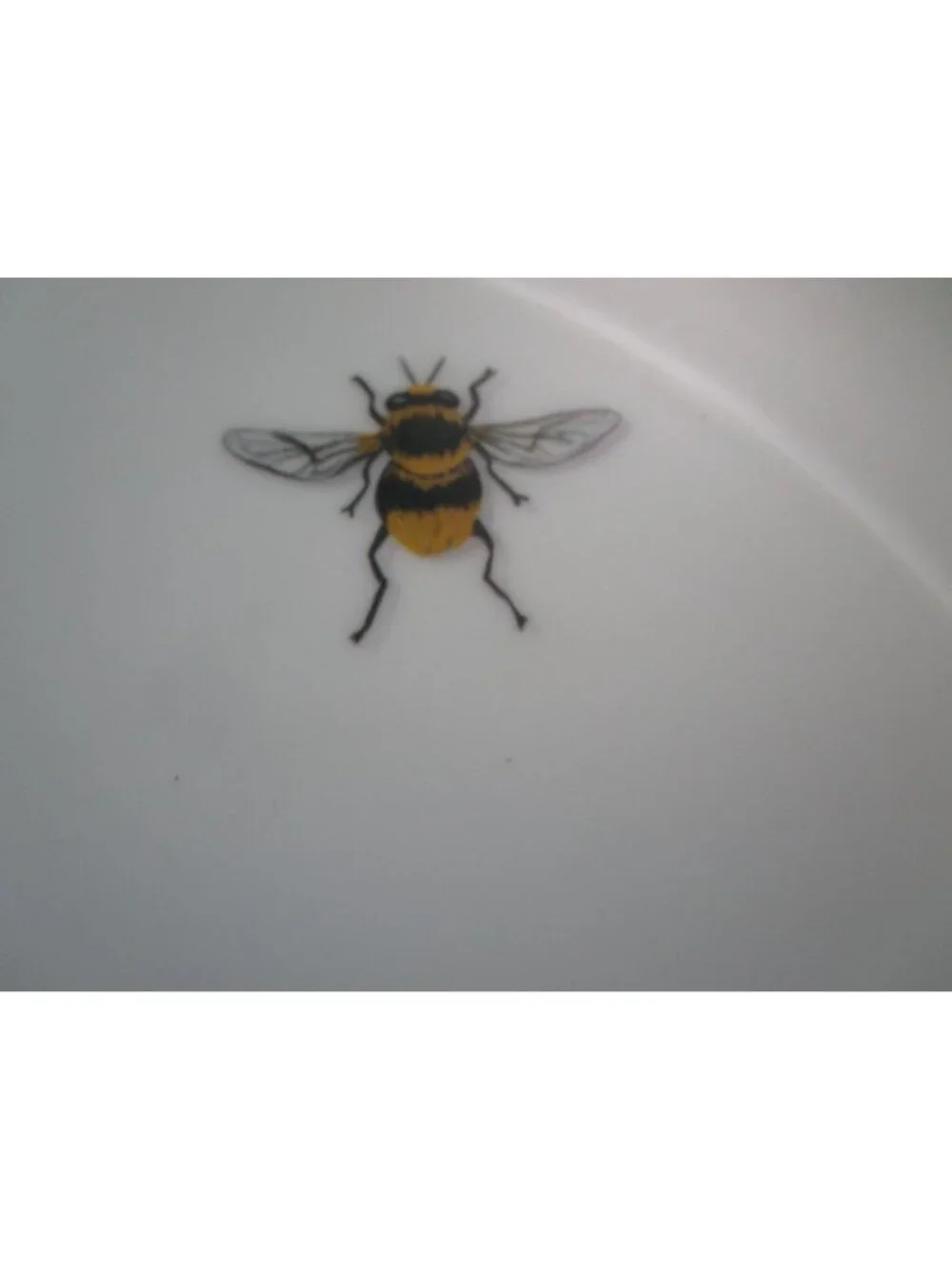 Bee Motif Melamine White Paper Plate Style One Hundred 80 Degrees Fluted Five Ge